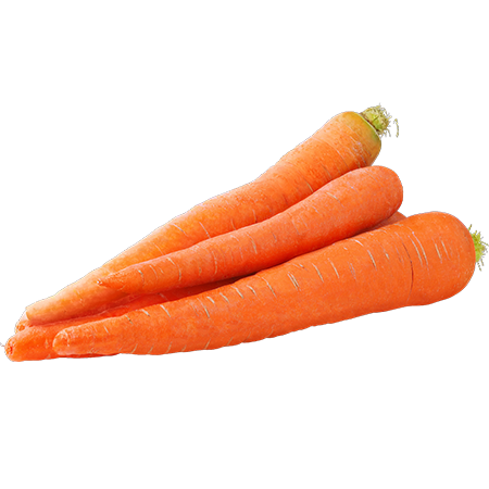 Bio Karotten 1kg