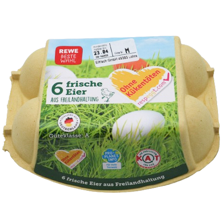 REWE Beste Wahl Eier Freilandhaltung 6 Stück