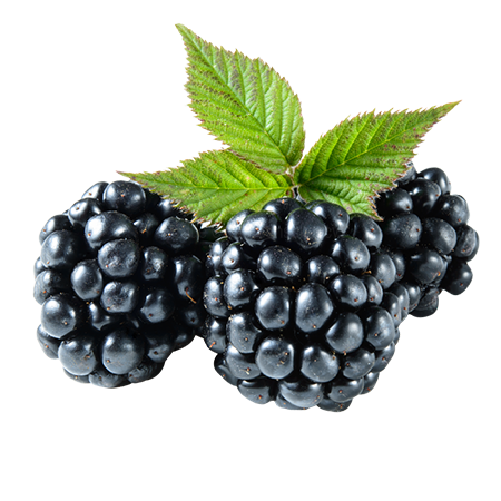 Brombeeren 125g