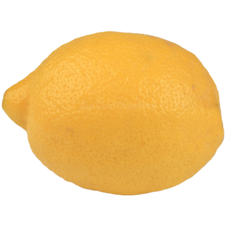 Zitronen 500g im Netz