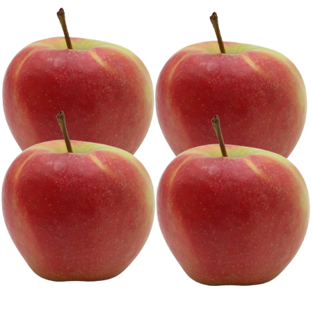 Apfel Elstar