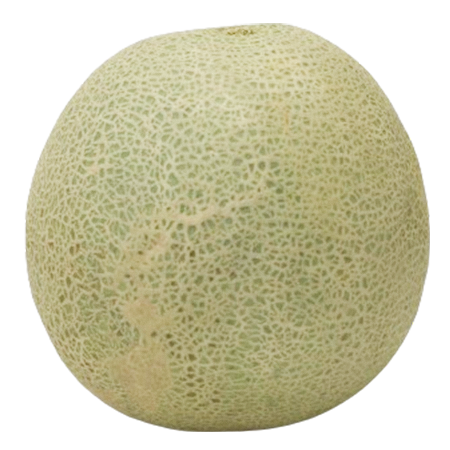 Cantaloupemelone