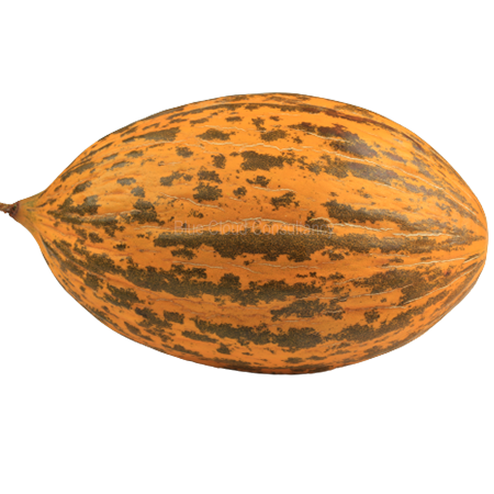Melone Kirkagac