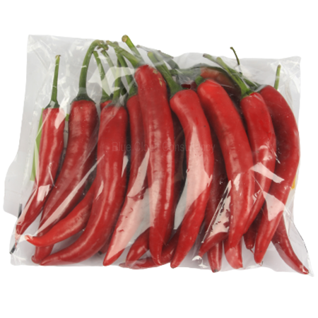 Peperoni rot Chili