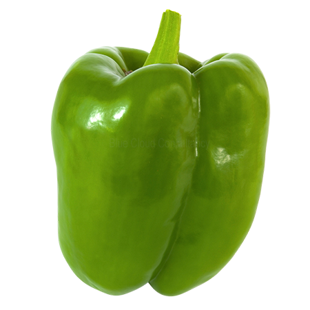 Paprika grün ca. 250g