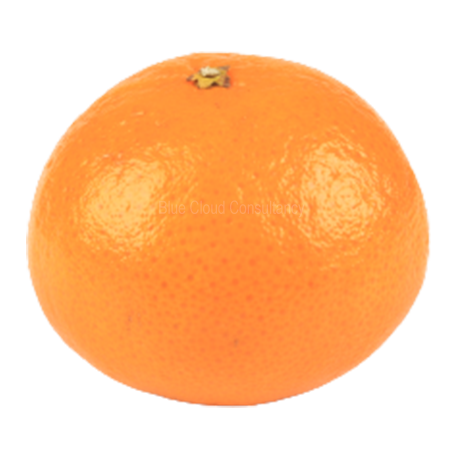 Bio Orangen ca. 240g